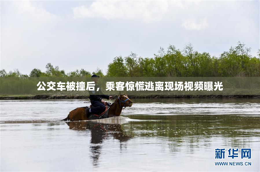 公交车被撞后，乘客惊慌逃离现场视频曝光
