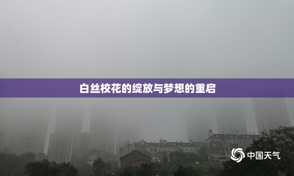 白丝校花的绽放与梦想的重启