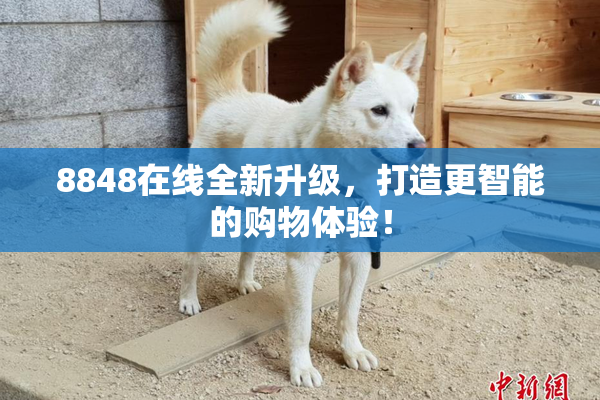 8848在线全新升级，打造更智能的购物体验！