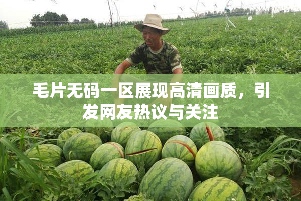 毛片无码一区展现高清画质，引发网友热议与关注