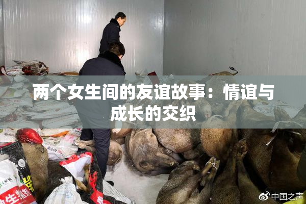 两个女生间的友谊故事：情谊与成长的交织