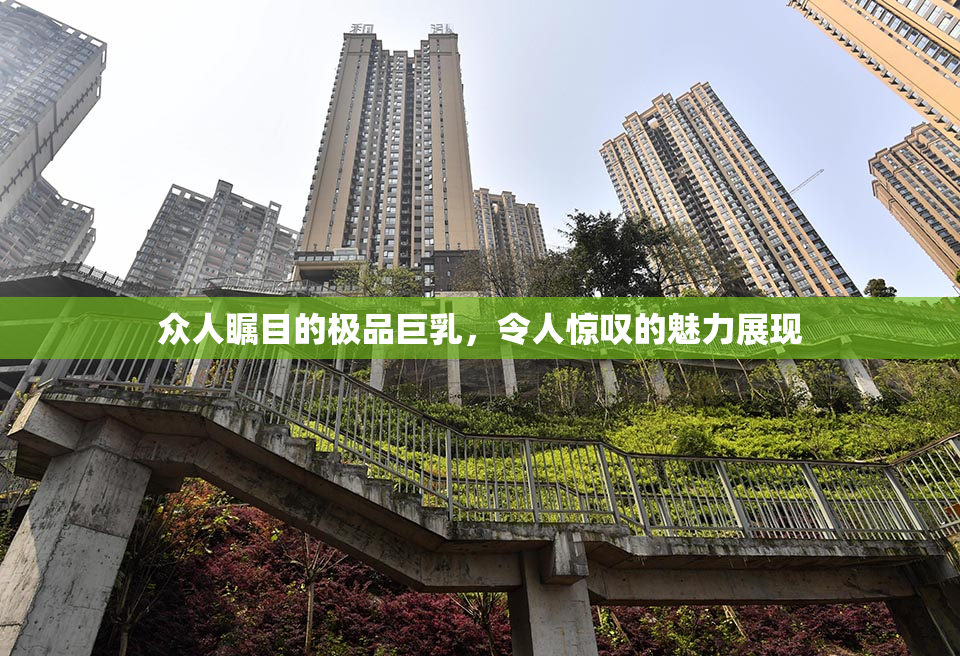 众人瞩目的极品巨乳，令人惊叹的魅力展现
