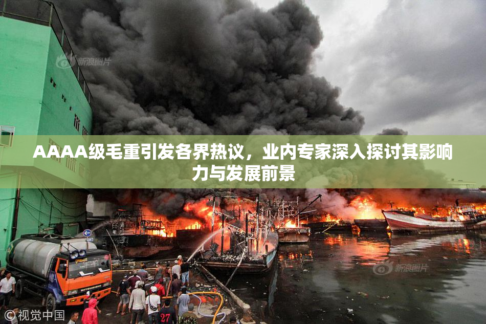 AAAA级毛重引发各界热议，业内专家深入探讨其影响力与发展前景