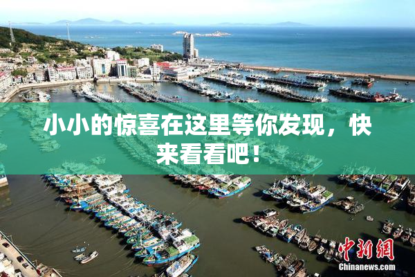 小小的惊喜在这里等你发现，快来看看吧！