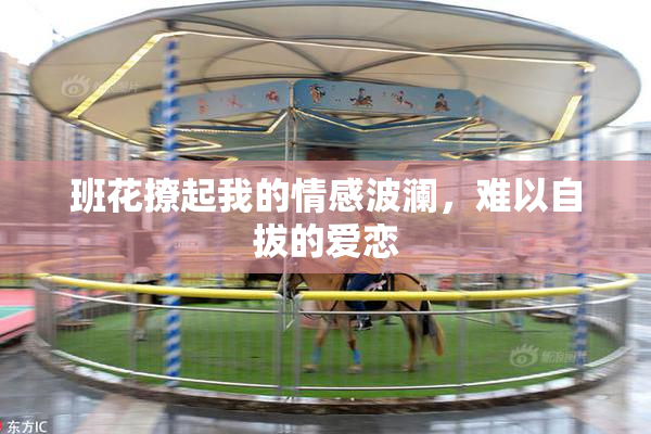 班花撩起我的情感波澜，难以自拔的爱恋