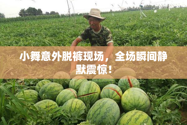 小舞意外脱裤现场，全场瞬间静默震惊！