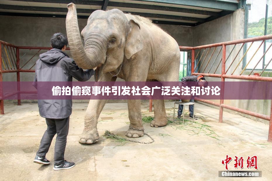 偷拍偷窥事件引发社会广泛关注和讨论