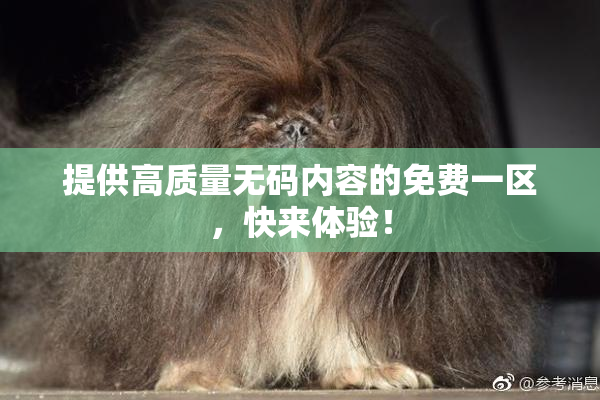 提供高质量无码内容的免费一区，快来体验！