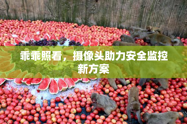 乖乖照看，摄像头助力安全监控新方案