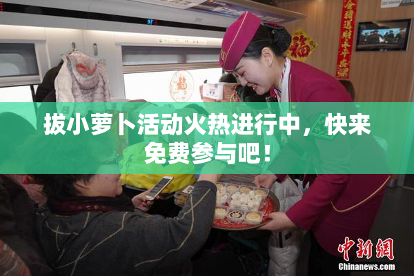 拔小萝卜活动火热进行中，快来免费参与吧！