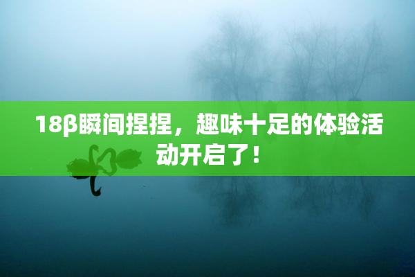 18β瞬间捏捏，趣味十足的体验活动开启了！