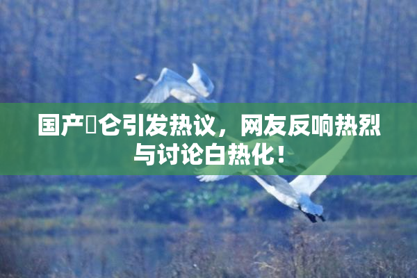 国产婬仑引发热议，网友反响热烈与讨论白热化！