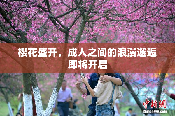 樱花盛开，成人之间的浪漫邂逅即将开启