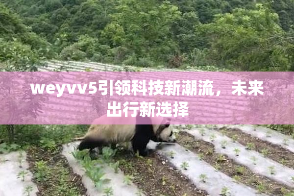 weyvv5引领科技新潮流，未来出行新选择