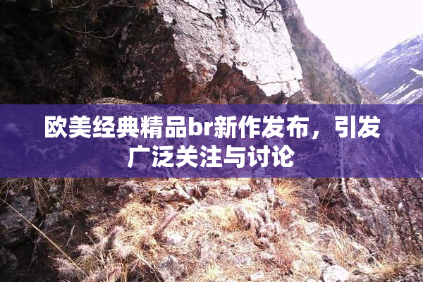 欧美经典精品br新作发布，引发广泛关注与讨论