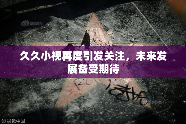 久久小视再度引发关注，未来发展备受期待