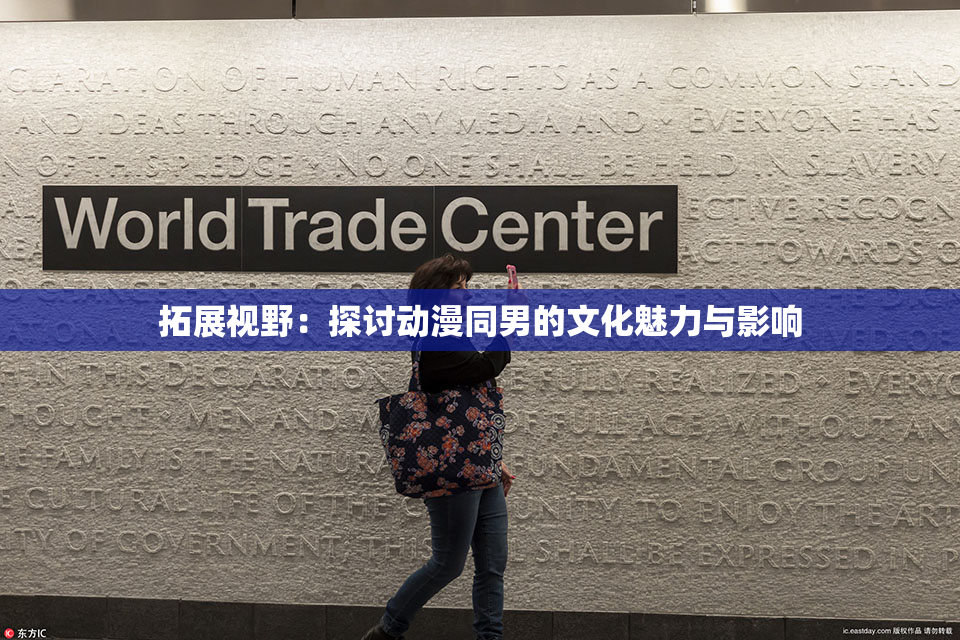 拓展视野：探讨动漫同男的文化魅力与影响
