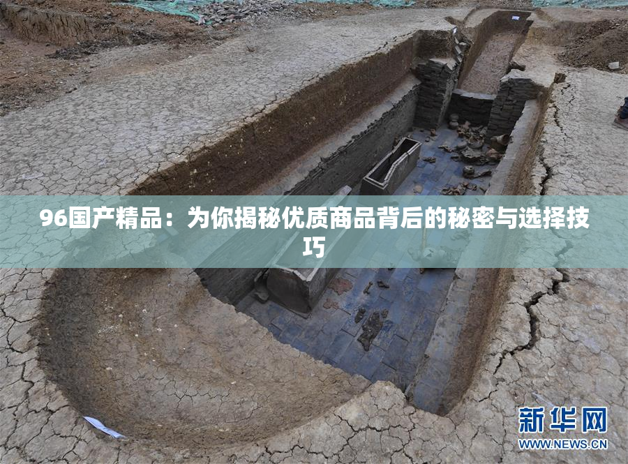 96国产精品：为你揭秘优质商品背后的秘密与选择技巧