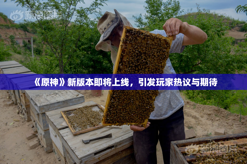《原神》新版本即将上线，引发玩家热议与期待