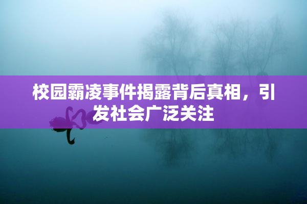 校园霸凌事件揭露背后真相，引发社会广泛关注