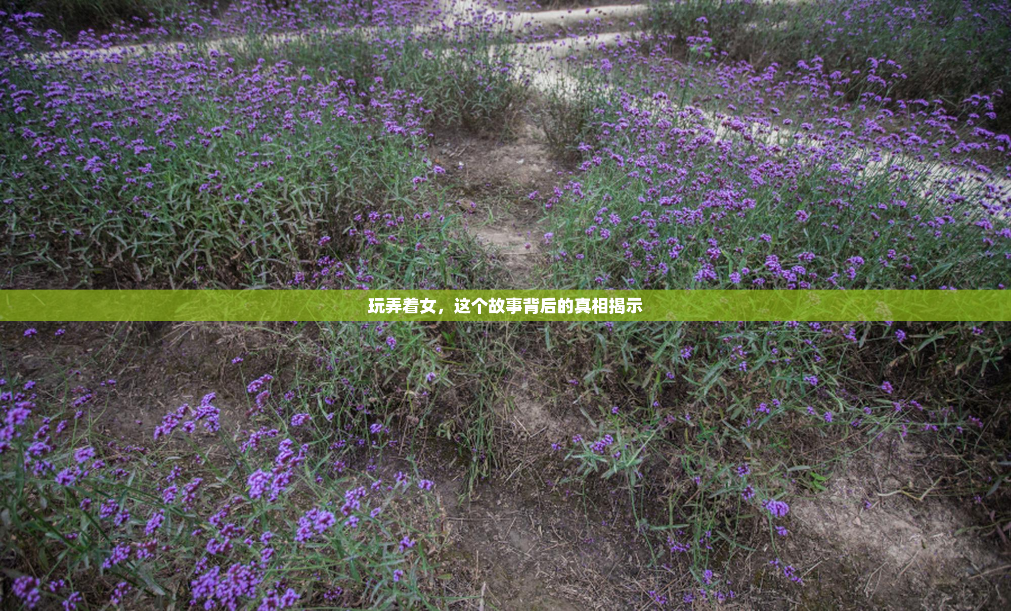 玩弄着女，这个故事背后的真相揭示
