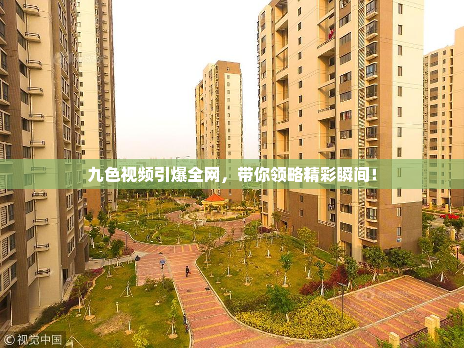 九色视频引爆全网，带你领略精彩瞬间！