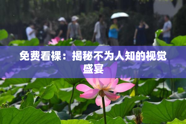 免费看裸：揭秘不为人知的视觉盛宴