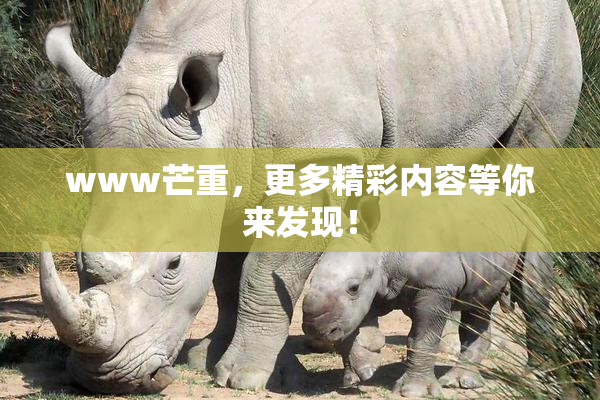 www芒重，更多精彩内容等你来发现！