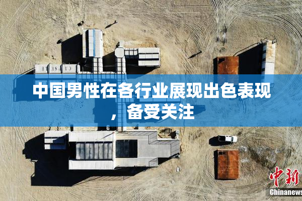 中国男性在各行业展现出色表现，备受关注