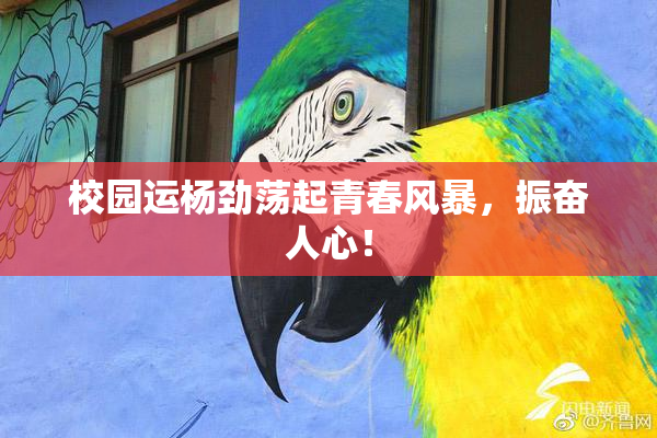 校园运杨劲荡起青春风暴，振奋人心！