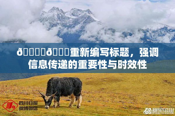 🔞‌🍌重新编写标题，强调信息传递的重要性与时效性