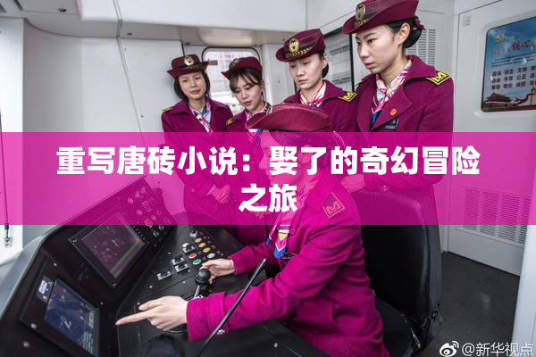 重写唐砖小说：娶了的奇幻冒险之旅