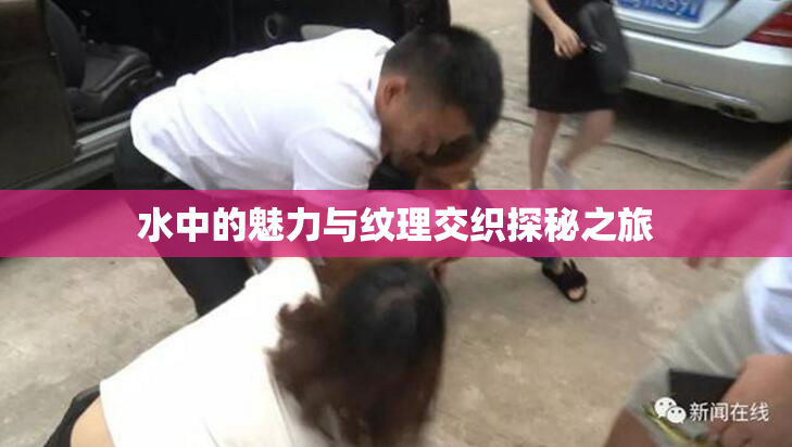 水中的魅力与纹理交织探秘之旅