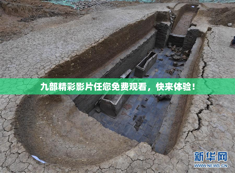 九部精彩影片任您免费观看，快来体验！