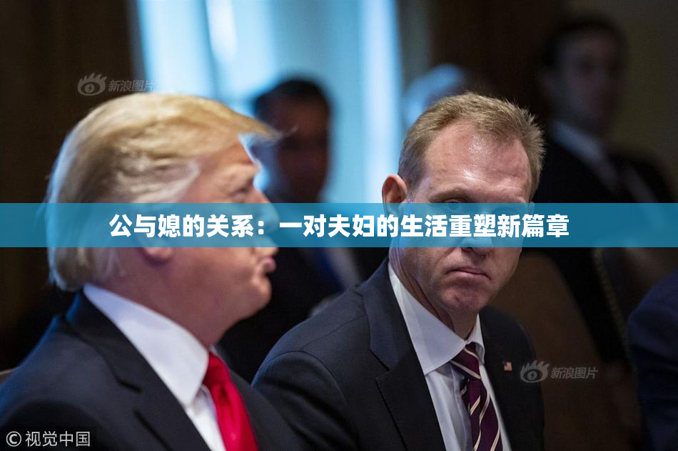 公与媳的关系：一对夫妇的生活重塑新篇章