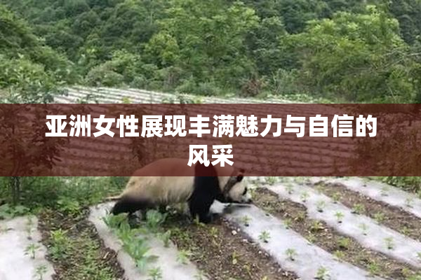 亚洲女性展现丰满魅力与自信的风采