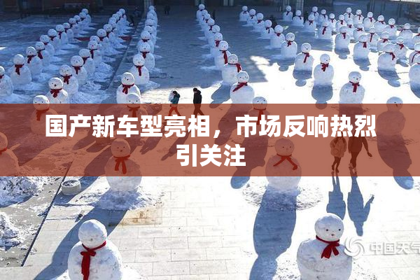国产新车型亮相，市场反响热烈引关注