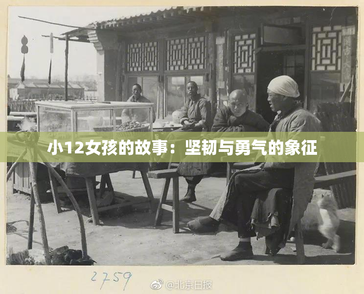 小12女孩的故事：坚韧与勇气的象征