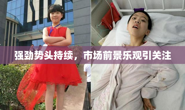 强劲势头持续，市场前景乐观引关注