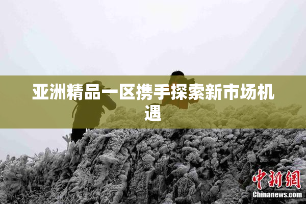 亚洲精品一区携手探索新市场机遇