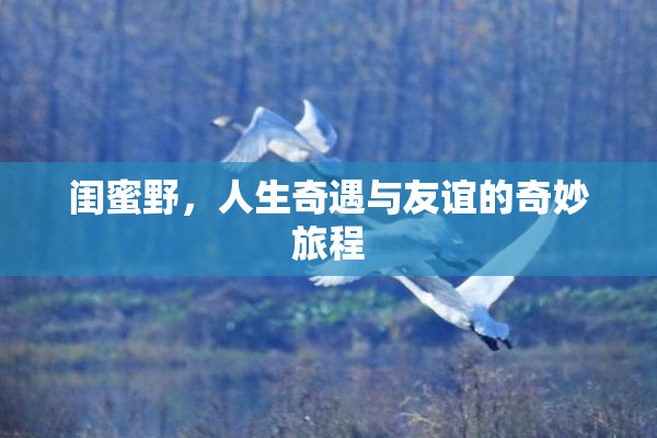 闺蜜野，人生奇遇与友谊的奇妙旅程