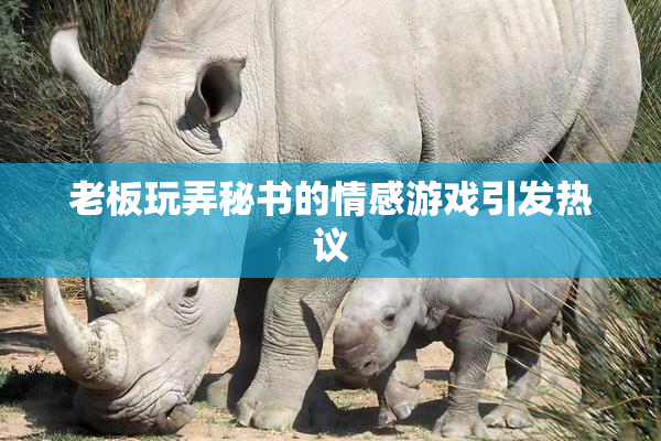 老板玩弄秘书的情感游戏引发热议
