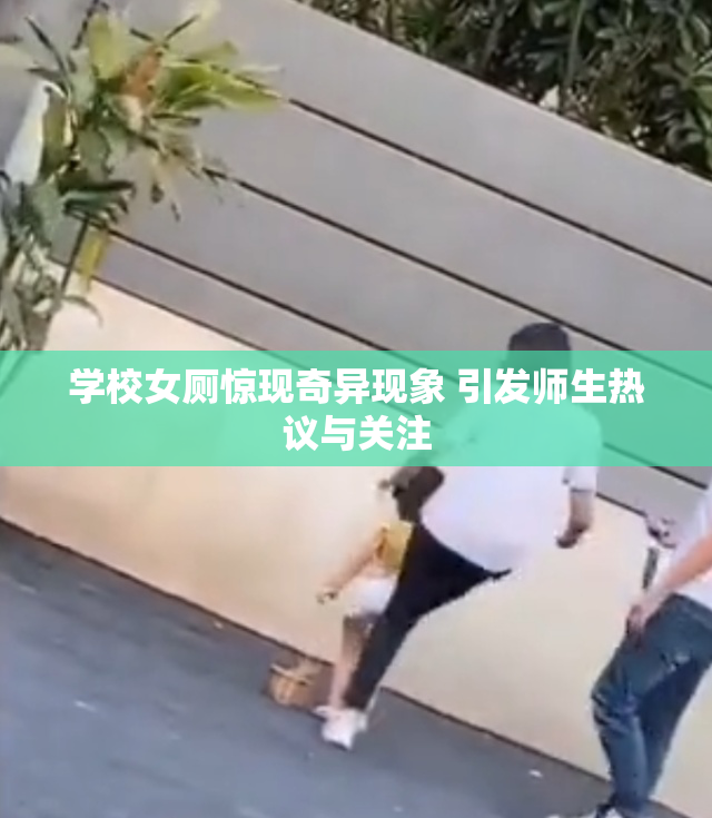 学校女厕惊现奇异现象 引发师生热议与关注