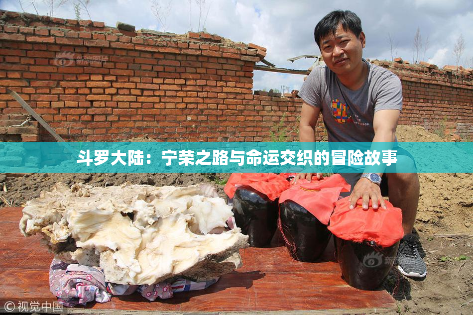 斗罗大陆：宁荣之路与命运交织的冒险故事