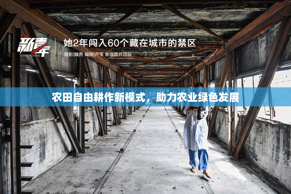 农田自由耕作新模式，助力农业绿色发展