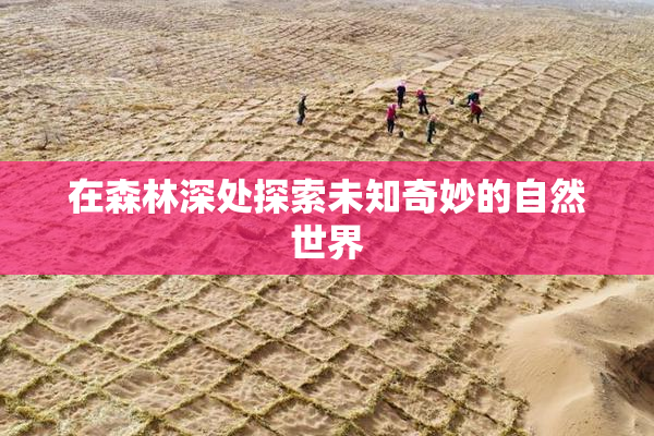 在森林深处探索未知奇妙的自然世界