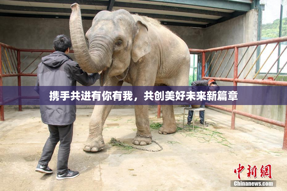 携手共进有你有我，共创美好未来新篇章