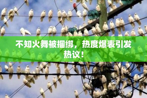 不知火舞被捆绑，热度爆表引发热议！