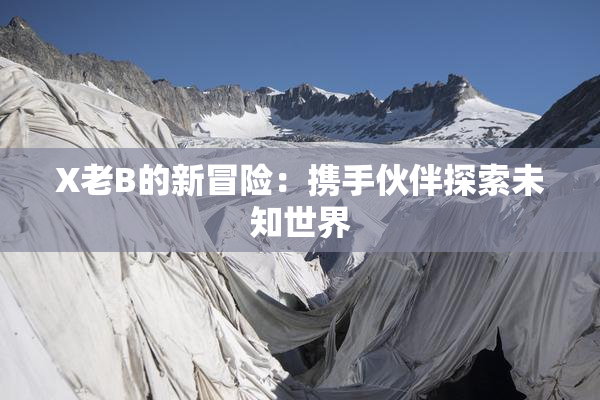 X老B的新冒险：携手伙伴探索未知世界