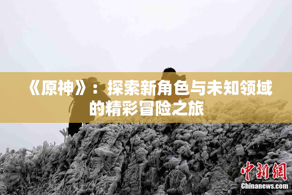 《原神》：探索新角色与未知领域的精彩冒险之旅